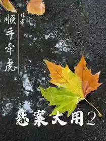 悬案大用2